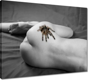 Vászonkép 50x40 Pók akt Nő