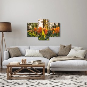 Narancssárga tulipán képe (90x60 cm)
