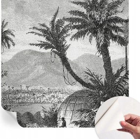 Design fali fotótapéta Öntapadós Trópusi oázis 250x250 cm