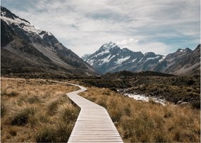 Kép - Sétány a hegységben Mt. Cook (70x50 cm)
