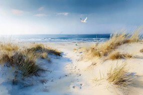 Fotótapéta Flizelina Tengerpart Homok Ösvény Hullámok Sirály 152,5x104 ragasztó