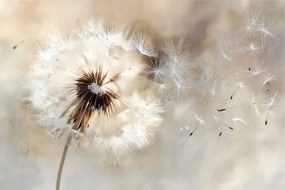 Fotótapéta Flizelina Akvarell Bézs Boho Virág Pitypang Pehely 152,5x104 ragasztó