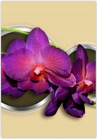 Poszterek 70x100 Orchideák