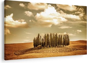 A Tisztás képe (90x60 cm)