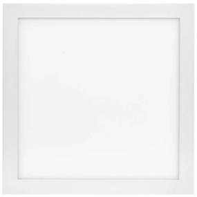 LED Dimmelhető mennyezeti lámpa LED/20W/230V + távirányító