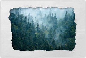 Poszterek 90x60 Erdő a ködben Utazás