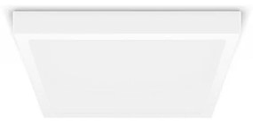 Philips - LED Mennyezeti lámpa MAGNEOS LED/20W/230V 2700K fehér