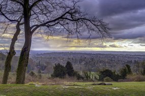 Poszter 45x30cm Reigate Hill 2, Assaf Frank