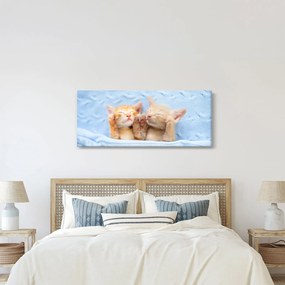 Kép - Alvó cicák (120x50 cm)