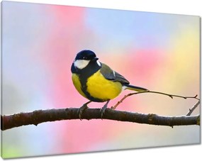 Vászonkép 100x70 Sárga madár