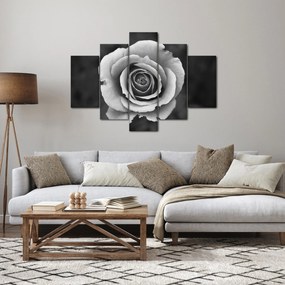 Egy rózsa képe (150x105 cm)