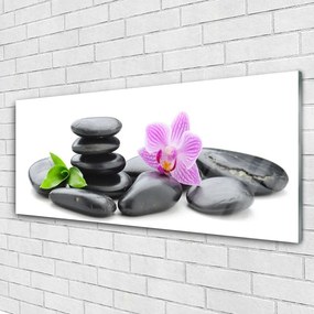 Akril üveg kép Virág Zen kövek 120x60 cm