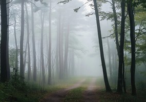 Fotótapéta Erdő fák flizelin Nappali Hálószoba fotótapéta falikép