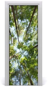 Ajtóposzter öntapadós felső ágak egy fa 95x205 cm