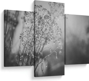 Kép - Mező az eső után (90x60 cm)