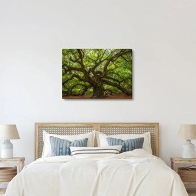 Kép - Zöld fa (70x50 cm)