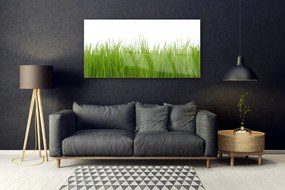 Akrilkép Grass Nature Plant 120x60 cm