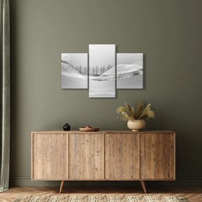 Kép - ezüst táj (90x60 cm)