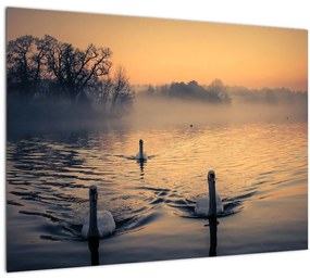Hattyúk a vizen és a ködben képe (üvegen) (70x50 cm)