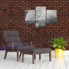 Kép - Mező az eső után (90x60 cm)