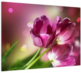 Rózsaszín tulipánok képe (üvegen) (70x50 cm)