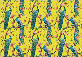 Fotótapéta Páva virágokkal egzotikus elegancia a nappaliba 250x175 +ragasztó