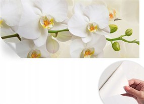 Design fali fotótapéta öntapadós virágos gazdagság 250x104 cm