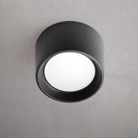 ELSTEAD FMG-LIVIA160-BLK LIVIA Modern Kültéri Mennyezeti Lámpa GX5.3 IP55