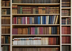 Flizelin fotótapéta Könyvtár Polcok Könyvek Otthon 350x250 +ragasztó