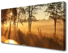 Canvas kép fák Természet 100x50 cm