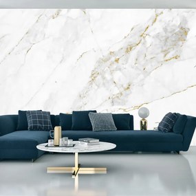 Marble Texture fotótapéta - VE360-240 - 360x240cm