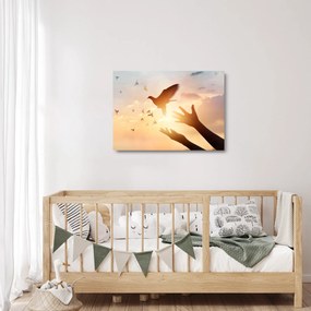 Kép - Galamb, repülj! (üvegen) (70x50 cm)
