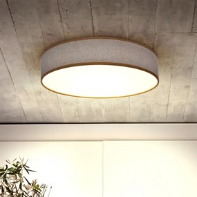 Brilagi - CARMEN LED 48W 230V állítható mennyezeti lámpa 3000-6500K + DO