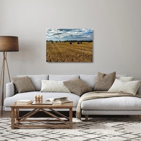 Betakarított gabona mező képe (üvegen) (70x50 cm)