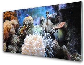 Modern üvegkép Barrier Reef Nature 100x50 cm 2 fogas