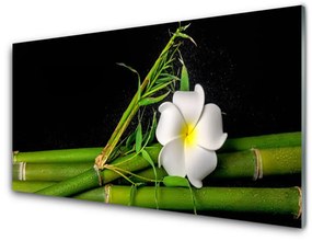 Modern üvegkép Bamboo Virág Plant 120x60cm 2 fogas