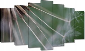 Vászonkép 140x80 Pitypang Virág Virágok