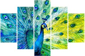 Páva képe (150x105 cm)