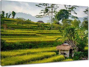 Vászonkép 90x60 Tájkép Látvány