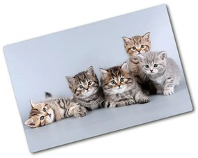 Üveg vágódeszka Öt macskák pl-ko-80x52-f-75950374