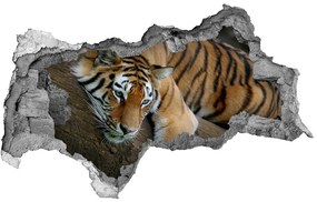 3d lyuk fal dekoráció Tiger a fán nd-b-4289086