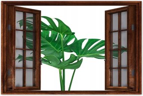 Poszter 60x40 Monstera Lyukas levelek