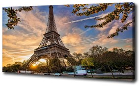 Vászonfotó Párizsi eiffel-torony oc-65117955