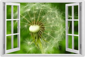 Poszterek 120x80 Pitypang Virág Virágok