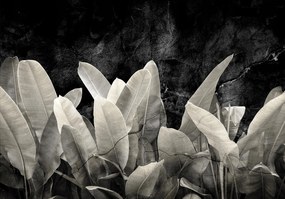 3D fotótapéta hatás Levelek virágok foltok 368 x 254