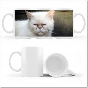 Nyomott mintás bögre Cica Cicák