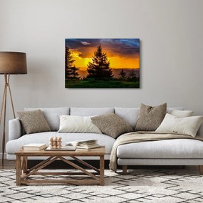 Kép - tűlevelűek (90x60 cm)