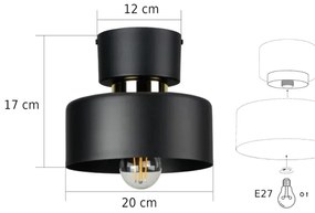 Mennyezeti lámpa IGNIA 1xE27/60W/230V fekete