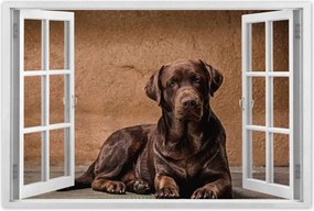 Poszter 60x40 Barna kutya barát