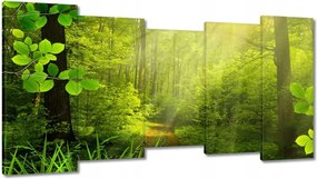 Festmények 150x80 Varázslatos erdő Tájkép